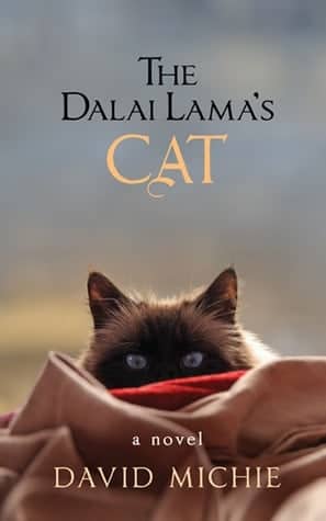 The Dalai Lama’s cat